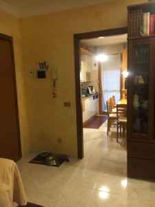 IMG 7445